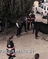 9-1-1_Lone_Star_S01E07_1080p_000646.jpg