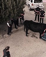 9-1-1_Lone_Star_S01E07_1080p_000649.jpg