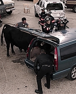 9-1-1_Lone_Star_S01E07_1080p_000736.jpg