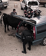 9-1-1_Lone_Star_S01E07_1080p_000739.jpg